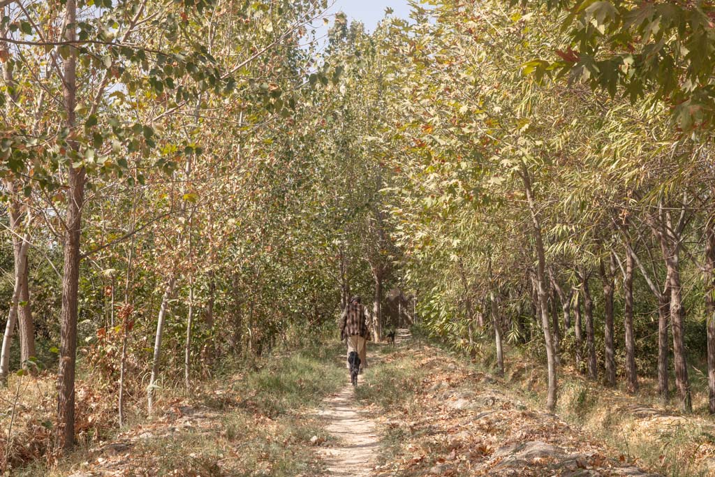 Haji Piyada, Haji Piyada Mosque, Noh Gonbad Mosque, 9 Cupola Mosque, Balkh, Old Balkh, Mazar e Sharif, Afghanistan