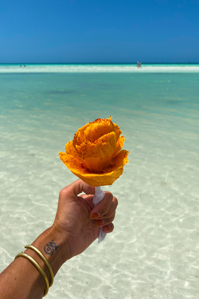 Mango, Isla Holbox, Quintana Roo, Yucatan Peninsula, Mexico