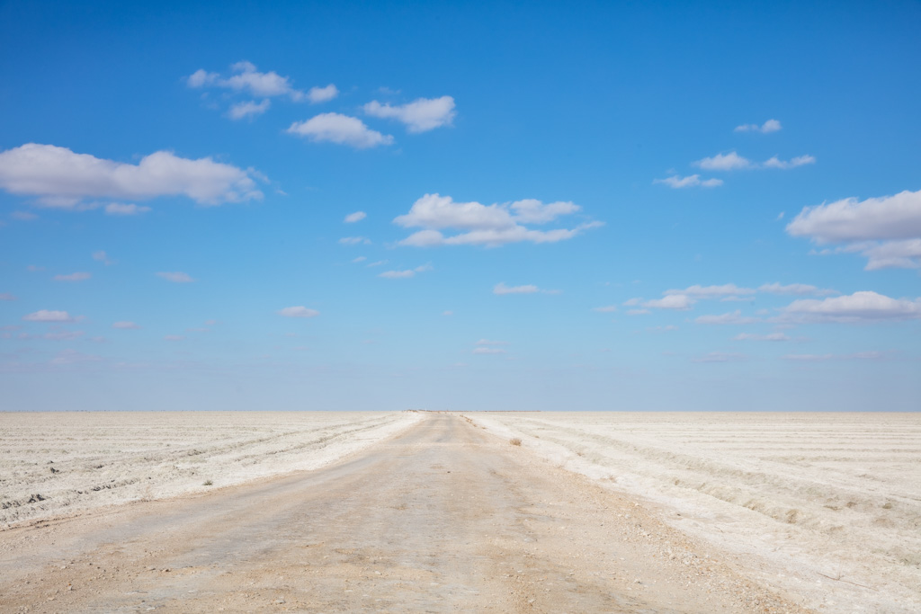South Ustyurt National Park, Karakalpakstan, Uzbekistan