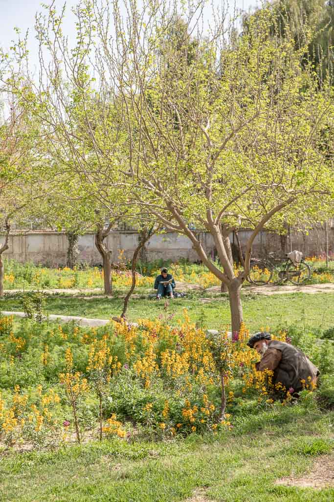 Kandahar, Afghanistan, Sra Jama, Red Mosque Kandahar