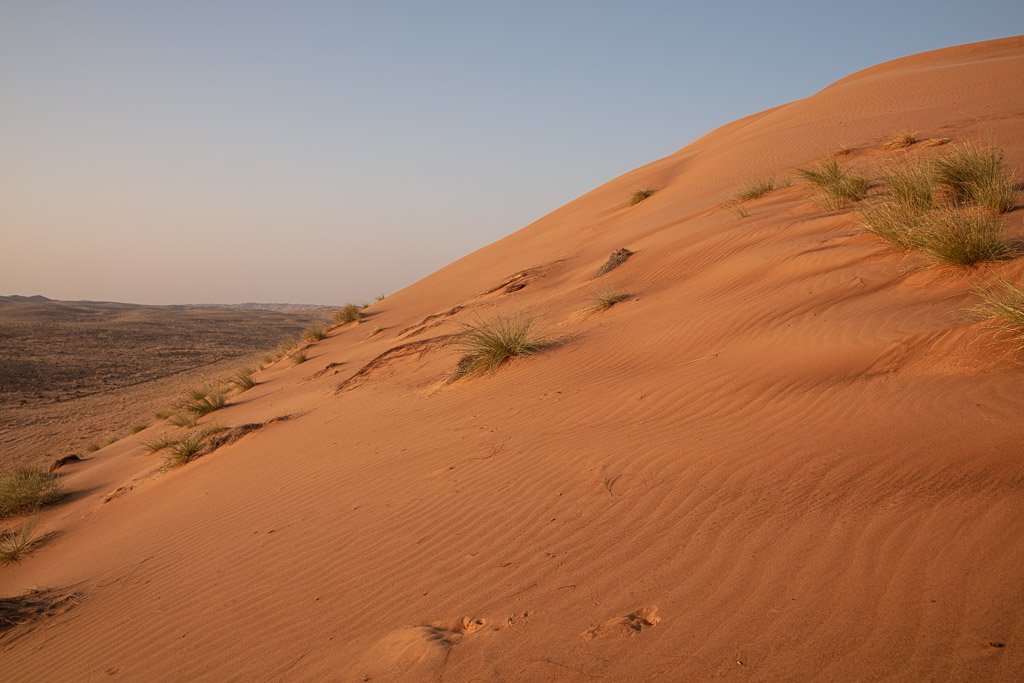Sunset, Sunset in Wahiba Sands, Wahiba, Wahiba Sands, Sharqiya, Sharqiya Sands, Omani Desert, Sand Dunes, Sand Dune, Oman, Middle East, Arabia, Arabian Peninsula